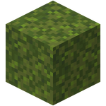 Moss Block