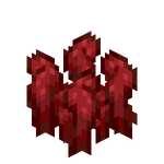 Verrues du Nether